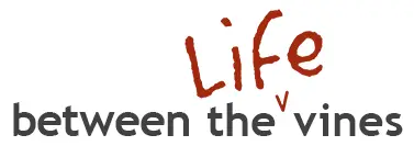LBTV-Logo-Banner-Small